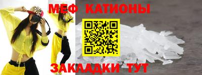 шишки Заводоуковск