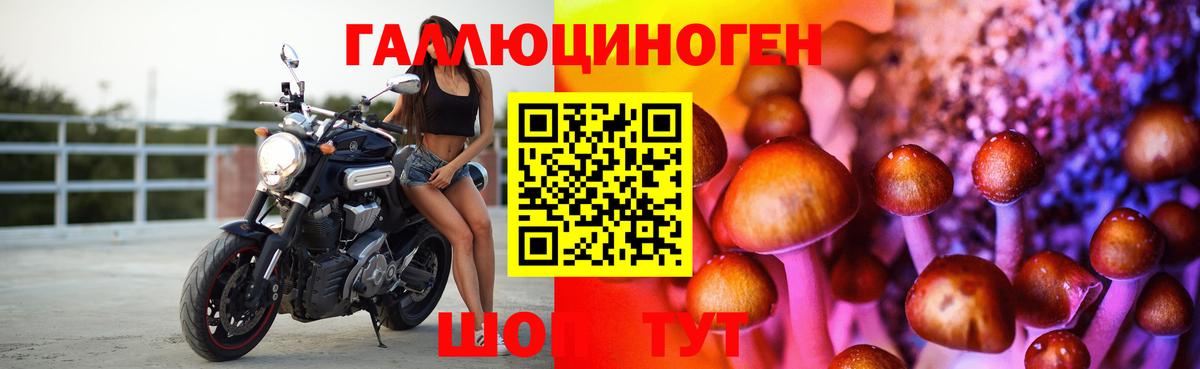 Кызыл  Галлюциногенные грибы Magic Shrooms  Вход с VPN 